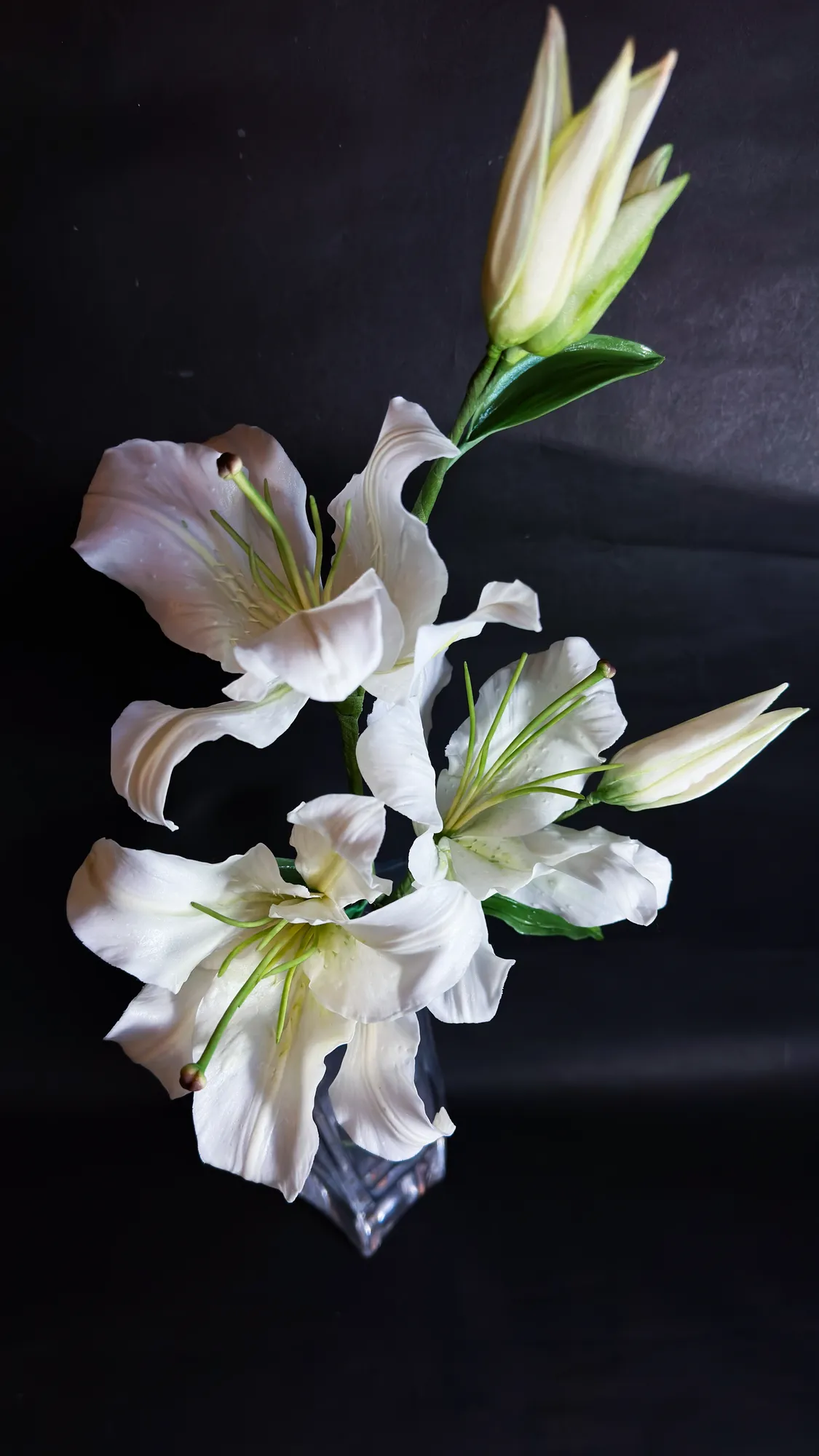 カサブランカ 作品写真1